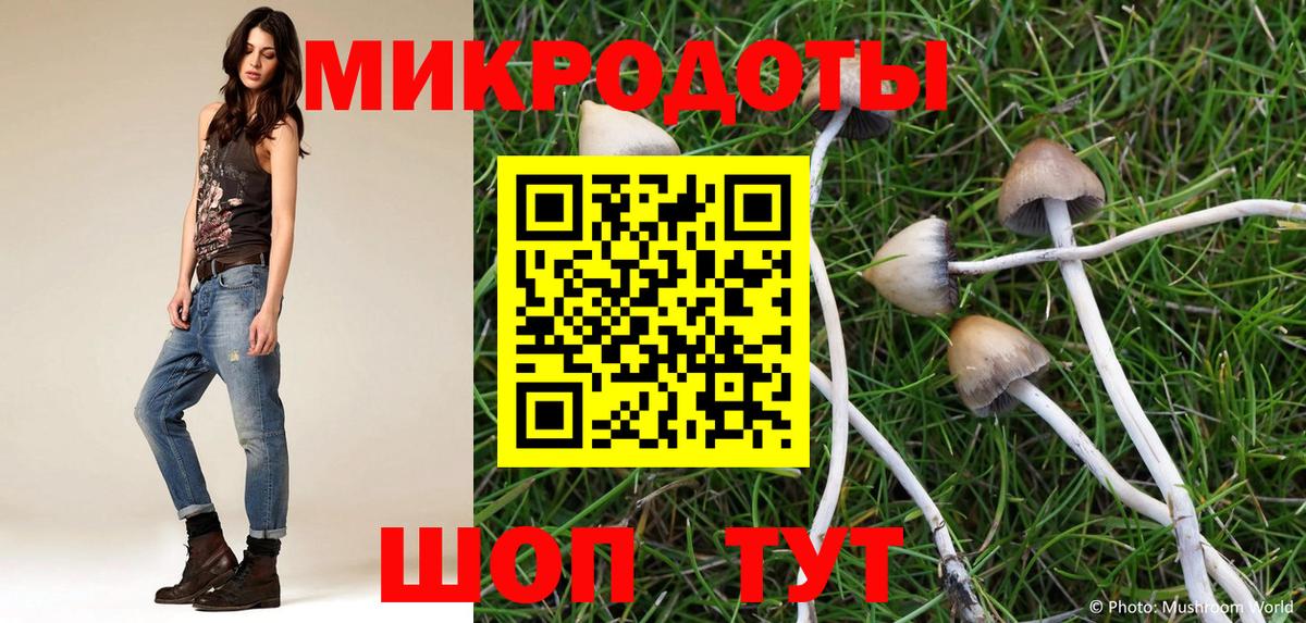 как найти закладки  Вход с VPN  Курганинск  Галлюциногенные грибы Psilocybe 