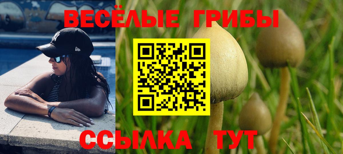 Галлюциногенные грибы MAGIC MUSHROOMS Курганинск